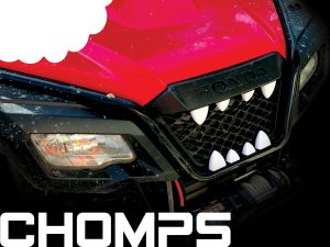 Grill Teeth for Honda Pioneer